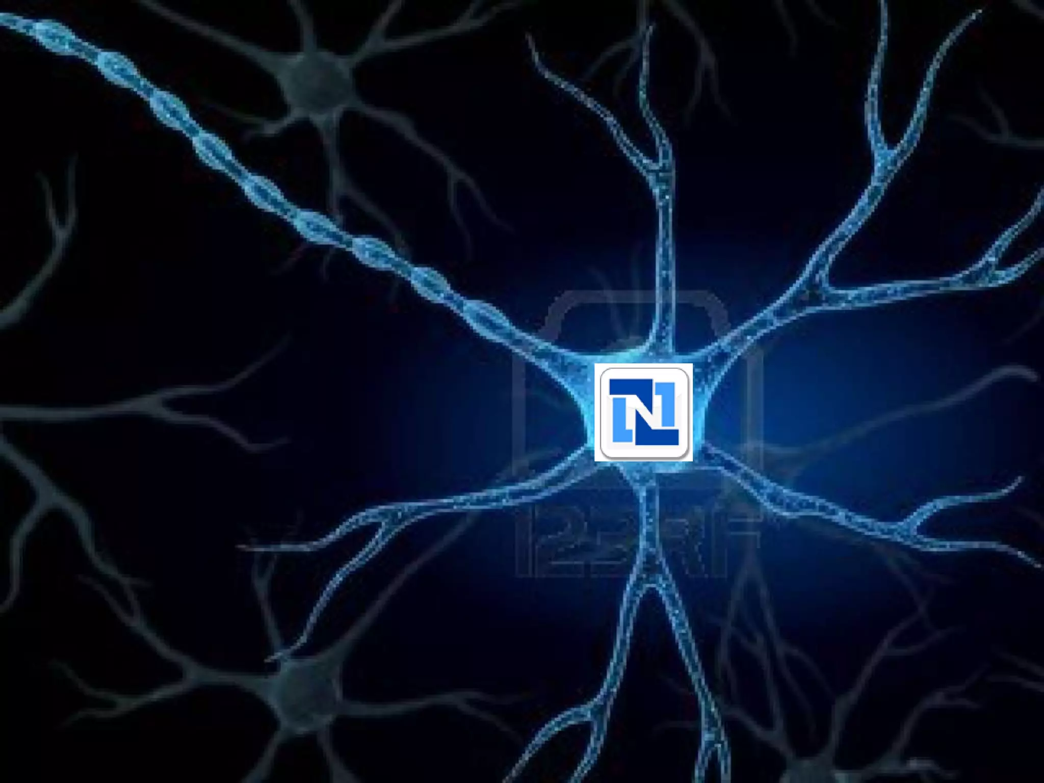 © NetSuite Inc. 2013 Confidential 54
 