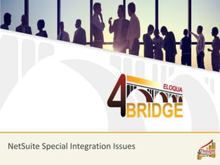NetSuite Special Integration Issues
 