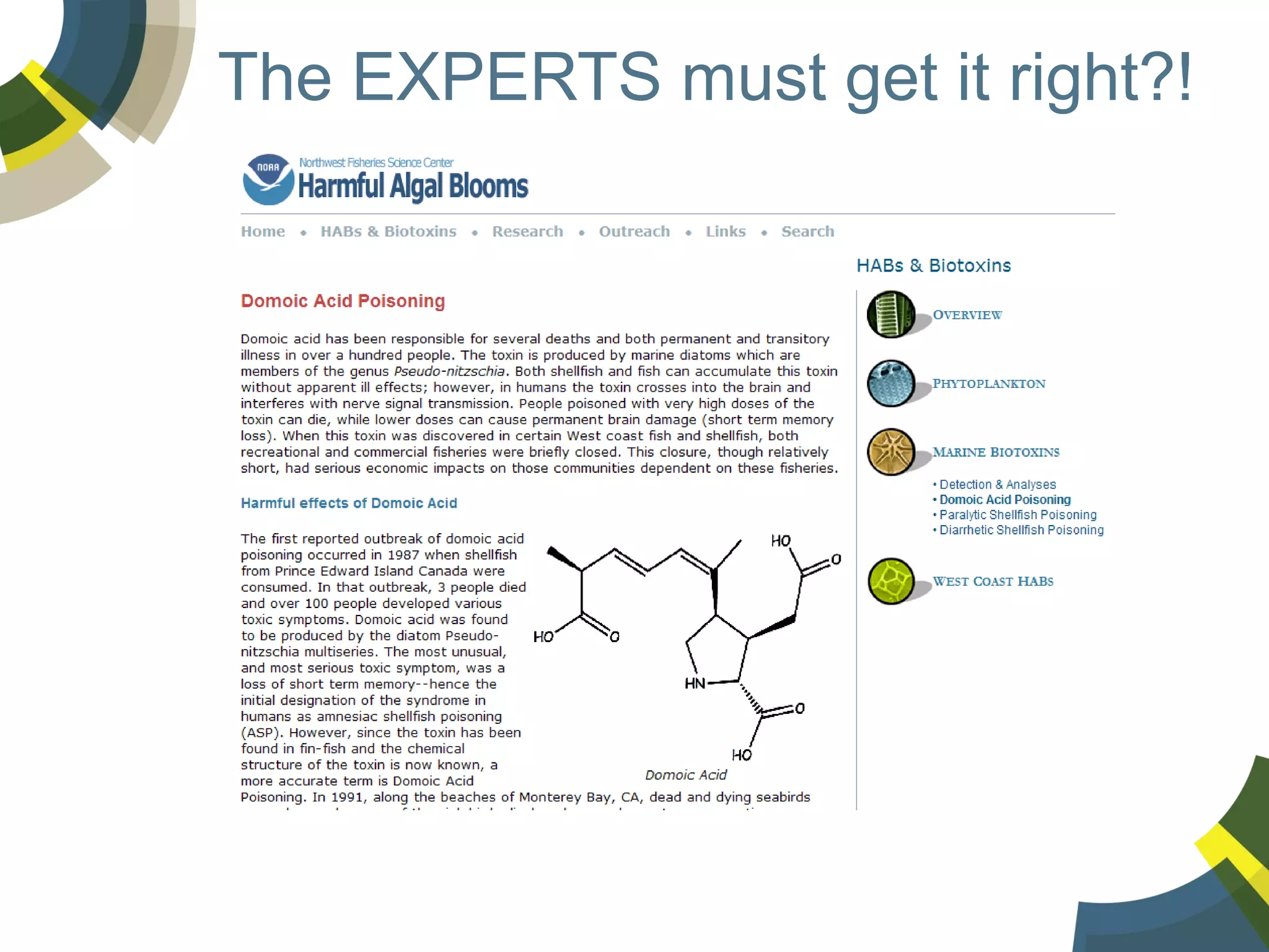 The EXPERTS must get it right?!

 