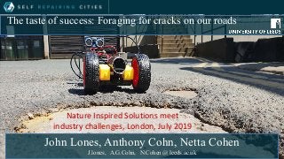 The taste of success: Foraging for cracks on our roads
John Lones, Anthony Cohn, Netta Cohen
J.lones, A.G.Cohn, N.Cohen @ leeds.ac.uk
Nature Inspired Solutions meet
industry challenges, London, July 2019
 