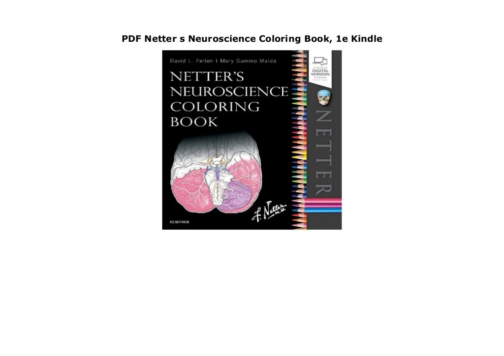 PDF Netter s Neuroscience Coloring Book, 1e Kindle