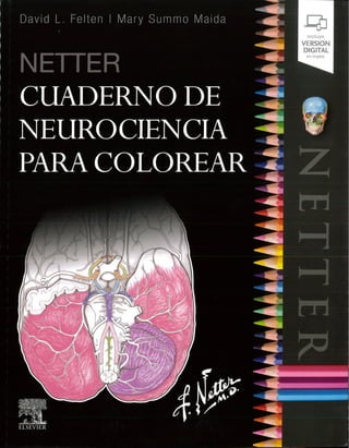 Netter, cuaderno para colorear de neurociencias D Felten.pdf