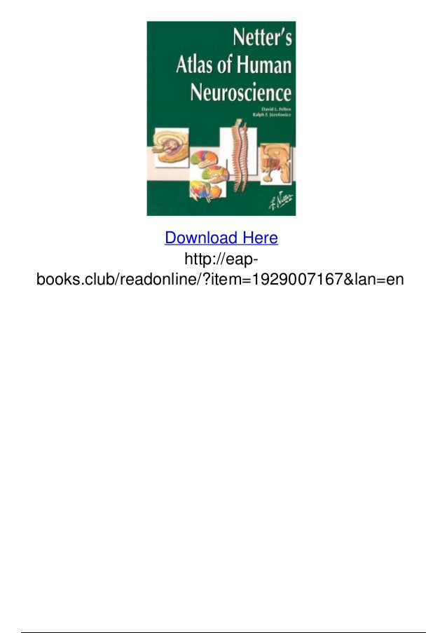 Download Netters atlas of human neuroscience 1e pdf