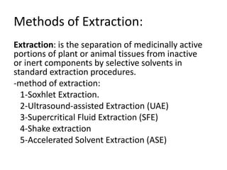 nettle propsal presentation power point Afaf final copy.pptx