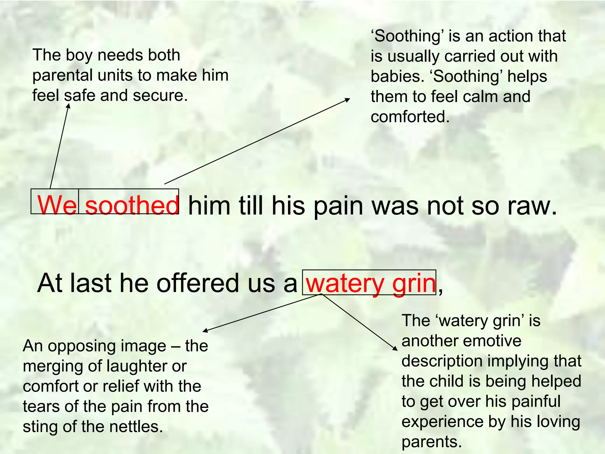 Analysis of 'Nettles' by Vernon Scannell | PPTX
