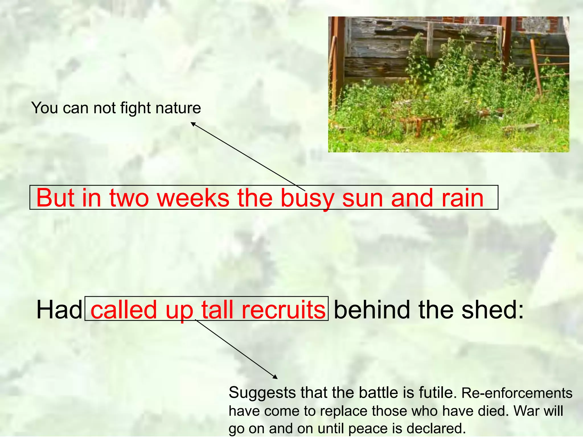 Analysis of 'Nettles' by Vernon Scannell | PPTX