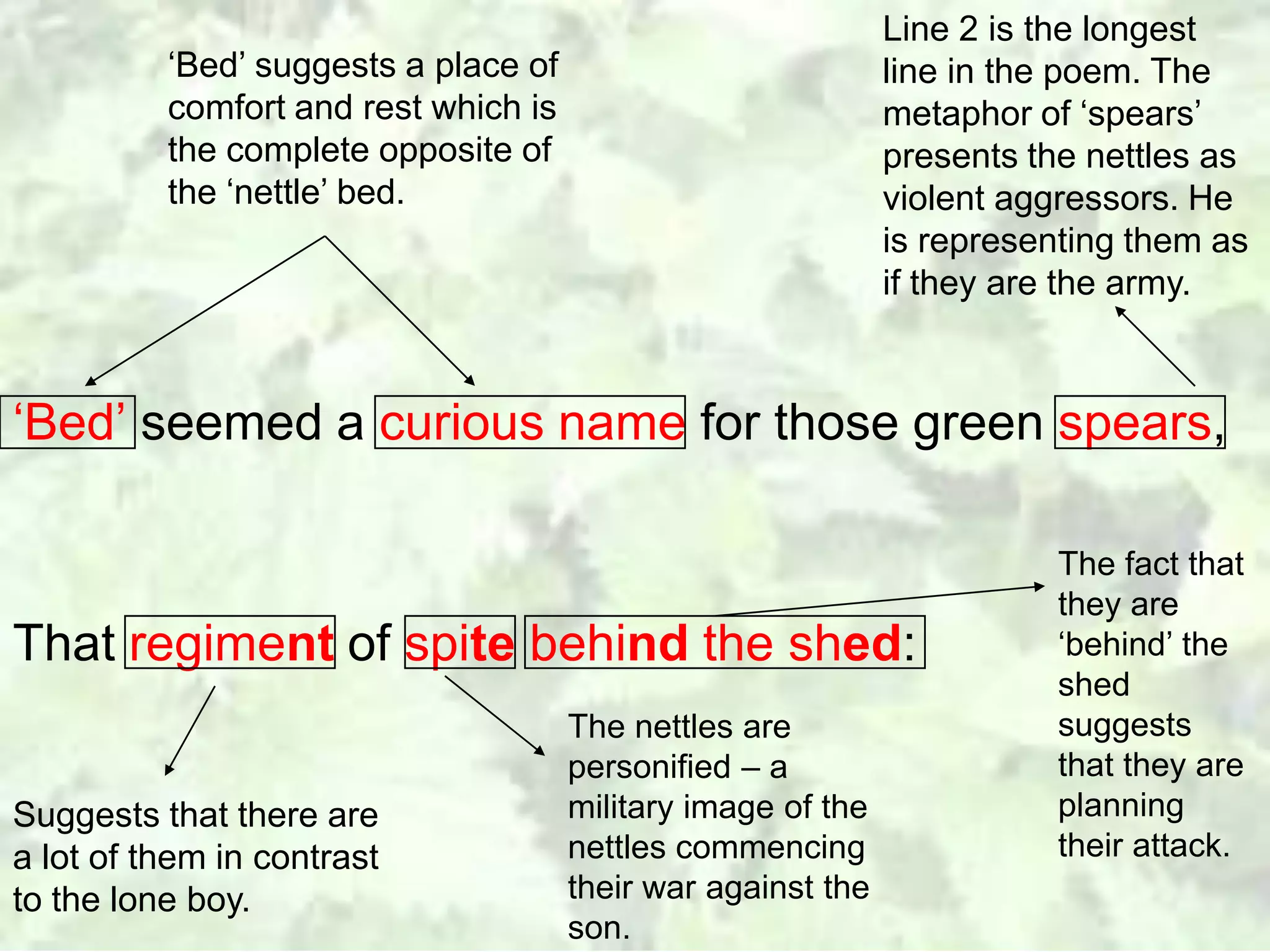 Analysis of 'Nettles' by Vernon Scannell | PPTX