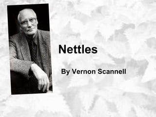 Nettles
By Vernon Scannell
 