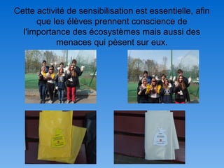 Cette activité de sensibilisation est essentielle, afin
que les élèves prennent conscience de
l'importance des écosystèmes mais aussi des
menaces qui pèsent sur eux.
 
