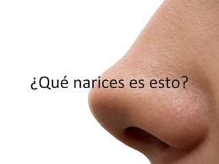 ¿Qué	
  narices	
  es	
  esto?
 