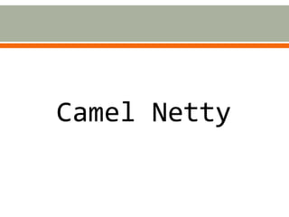 Camel Netty
 