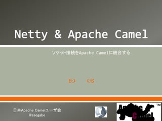  
ソケット接続をApache Camelに統合する
日本Apache Camelユーザ会
@ssogabe
 