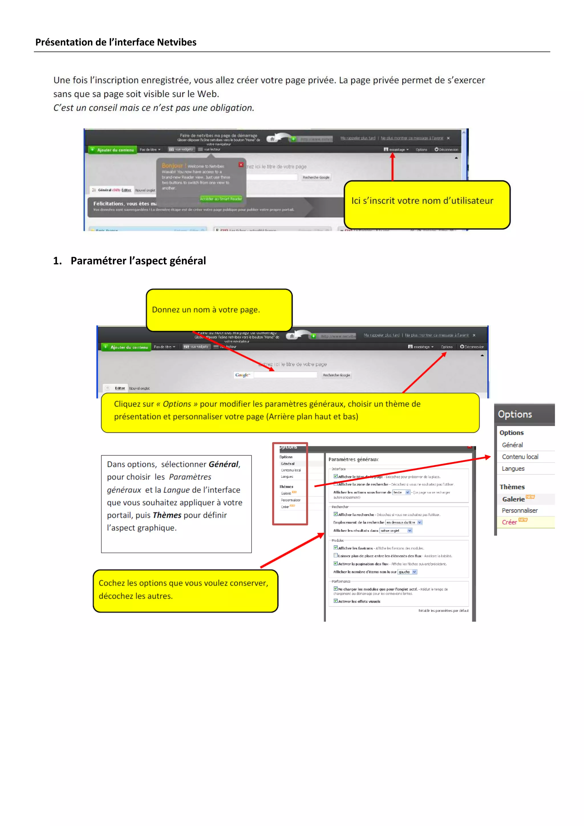 Présentation de l’interface Netvibes




   1. Paramétrer l’aspect général
 