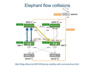 Elephant flow collisions
http://blog.sflow.com/2015/03/ecmp-visibility-with-cumulus-linux.html
 