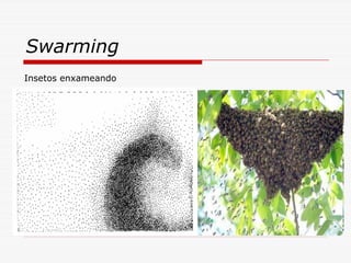 Swarming
Insetos enxameando
 