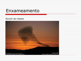 Enxameamento
Nuvem de insetos
 