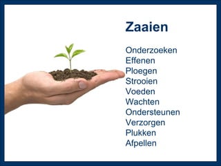 Zaaien Onderzoeken Effenen Ploegen Strooien Voeden Wachten Ondersteunen Verzorgen Plukken Afpellen 