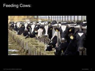 © 2011 Cisco and/or its affiliates. All rights reserved. Cisco Confidential 4
Feeding Cows:
 