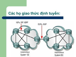 Các họ giao thức định tuyến: 