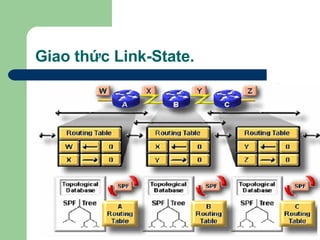 Giao thức Link-State. 