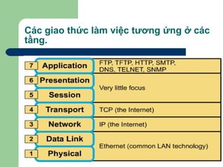 Các giao thức làm việc tương ứng ở các tầng. 