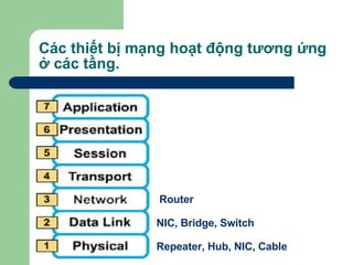 Các thiết bị mạng hoạt động tương ứng ở các tầng. Repeater, Hub, NIC, Cable NIC, Bridge, Switch Router 