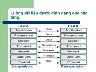 Luồng dữ liệu được định dạng qua các tầng. Encapsulation Dencapsulation 