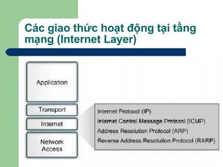 Các giao thức hoạt động tại tầng mạng (Internet Layer) 