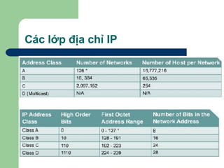 Các lớp địa chỉ IP 