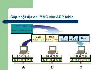 Cập nhật địa chỉ MAC vào ARP table 