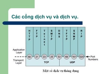 Các cổng dịch vụ và dịch vụ.  