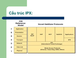 Cấu trúc IPX: 