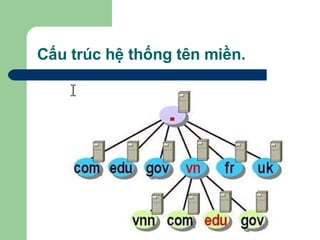 Cấu trúc hệ thống tên miền. 