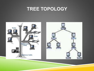 TREE TOPOLOGY 
 