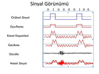 Sinyal Görünümü
 