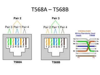 T568A – T568B
 