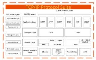 TCP/IP Protocol Suite
 