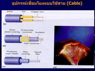 อุปกรณ์เชื่อมโยงแบบใช้สาย  (Cable) 