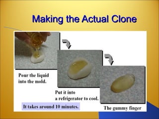 Making the Actual CloneMaking the Actual Clone
 