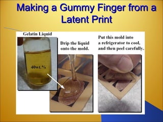 Making a Gummy Finger from aMaking a Gummy Finger from a
Latent PrintLatent Print
 