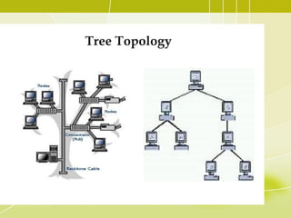 Tree Topology

 