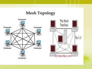Mesh Topology

 