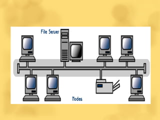 Programming Lan Network and programming language | PPTX