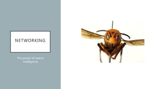 NETWORKING
The power of swarm
intelligence
 