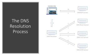 The DNS
Resolution
Process
 