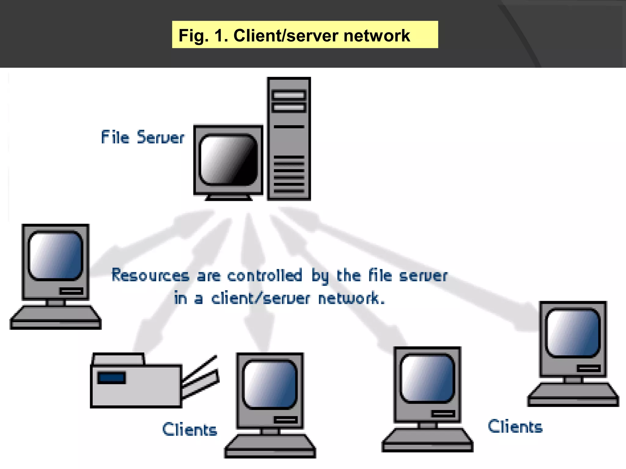 Fig. 1. Client/server network
 