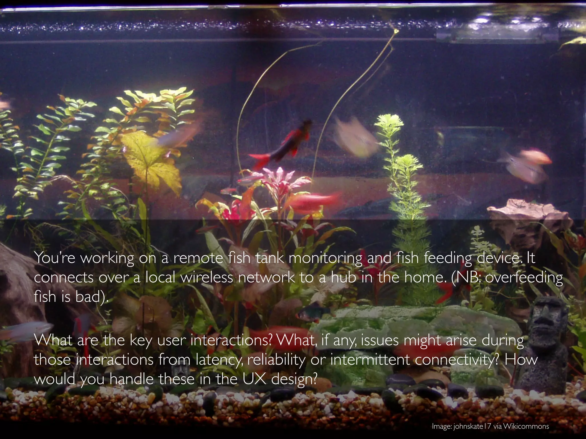 You’re working on a remote ﬁsh tank monitoring and ﬁsh feeding device. It
connects over a local wireless network to a hub in the home. (NB: overfeeding
ﬁsh is bad).
What are the key user interactions? What, if any, issues might arise during
those interactions from latency, reliability or intermittent connectivity? How
would you handle these in the UX design?
Image: johnskate17 via Wikicommons
 