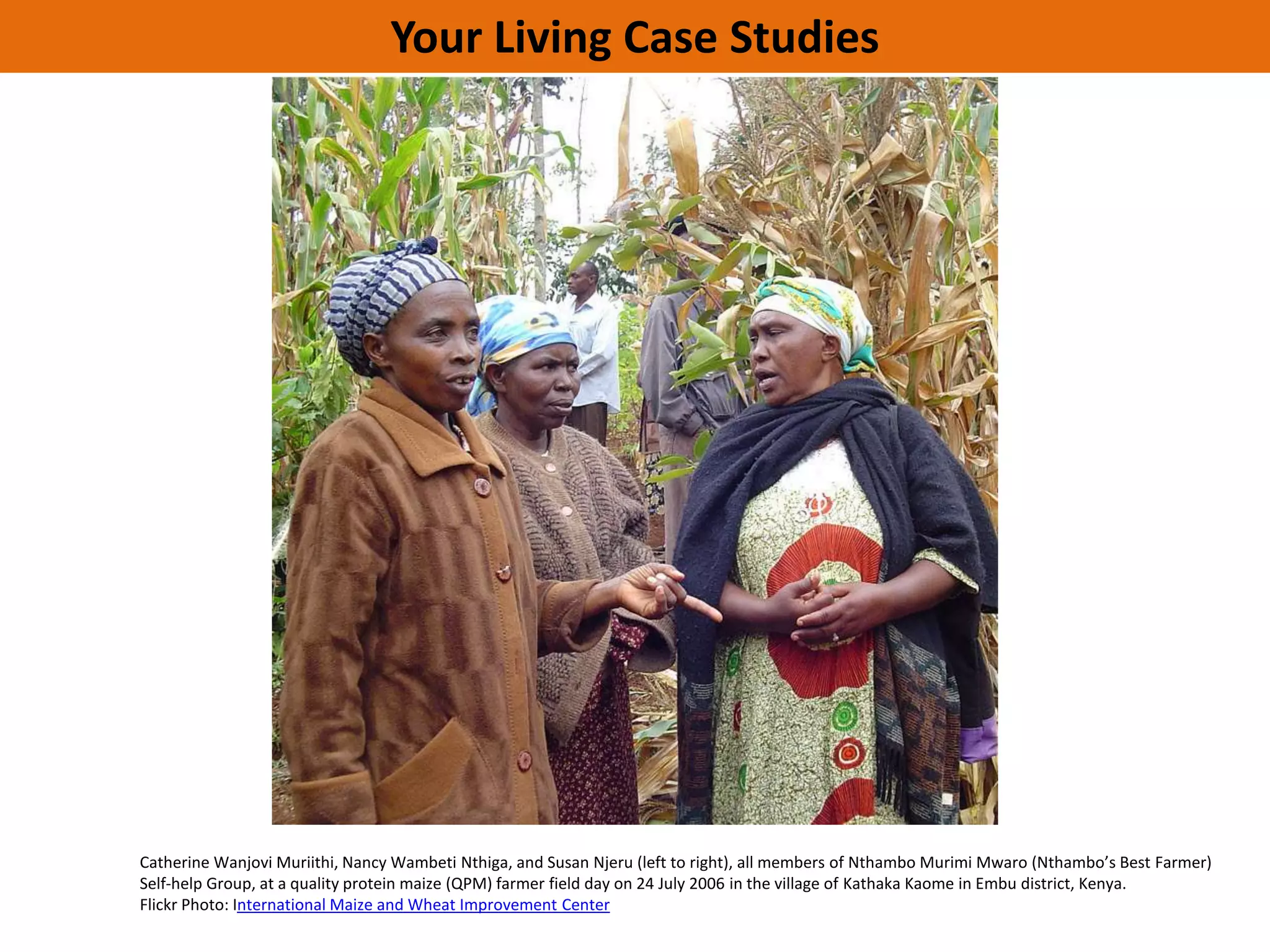 Your Living Case Studies




Catherine Wanjovi Muriithi, Nancy Wambeti Nthiga, and Susan Njeru (left to right), all members of Nthambo Murimi Mwaro (Nthambo’s Best Farmer)
Self-help Group, at a quality protein maize (QPM) farmer field day on 24 July 2006 in the village of Kathaka Kaome in Embu district, Kenya.
Flickr Photo: International Maize and Wheat Improvement Center
 