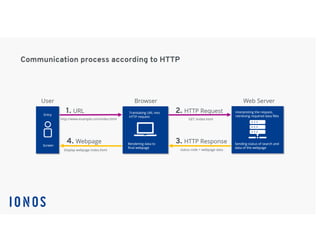 Networking Basics (internet) Full Design.pptx