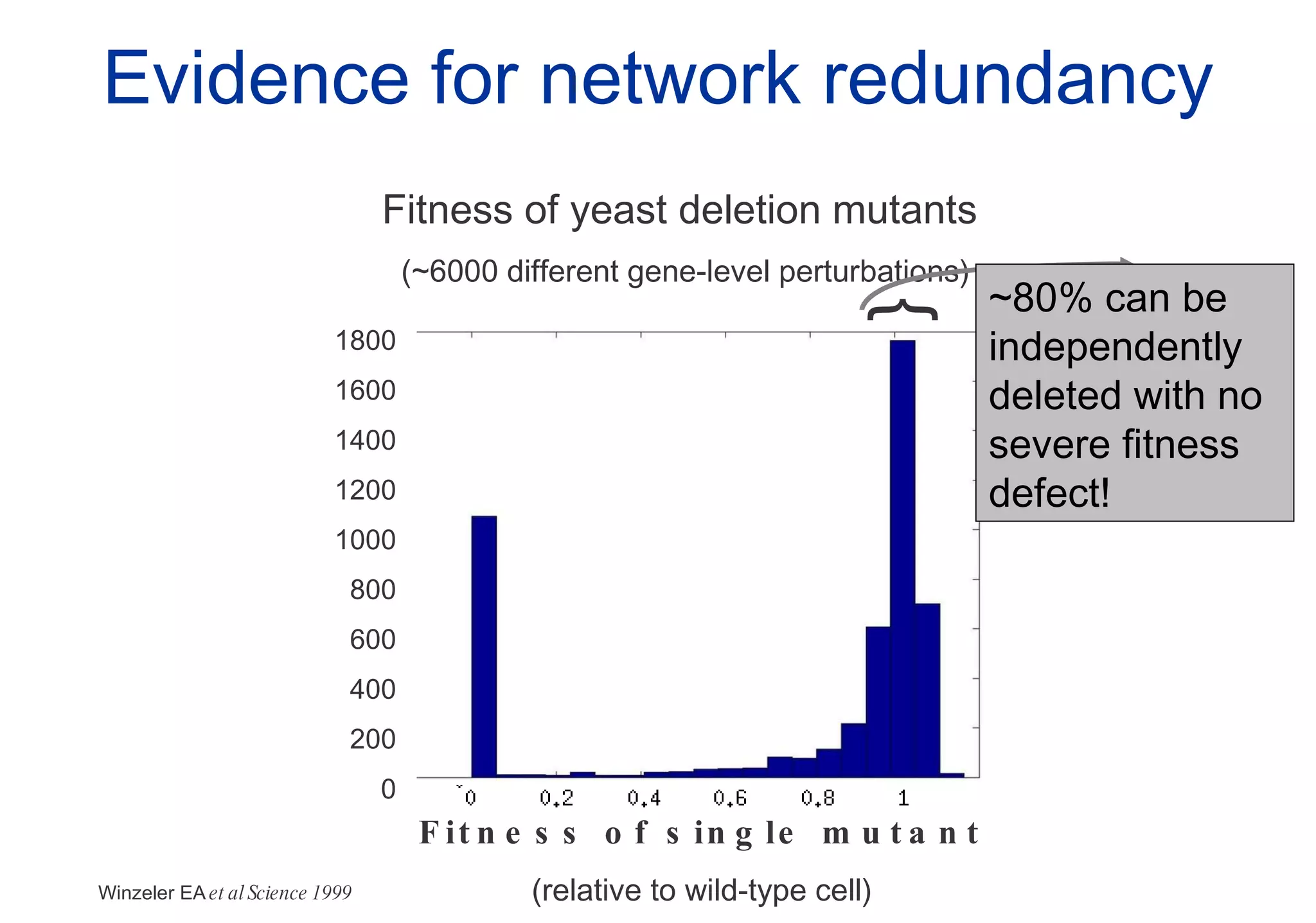 Evidence for network redundancy Fitness of single mutant (relative to wild-type cell) Fitness of yeast deletion mutants  (~6000 different gene-level perturbations) 1800 1600 1400 1200 1000 800 600 400 200 0 Winzeler EA  et al Science 1999 { ~80% can be independently deleted with no severe fitness defect! 
